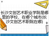 长沙文创艺术职业学院是哪里的学校，在哪个城市(长沙文创艺术职院在哪)