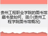 贵州工程职业学院的图书馆藏书量如何，简介(贵州工程学院图书馆概况)