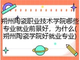 朔州陶瓷职业技术学院哪些专业就业前景好，为什么(朔州陶瓷学院好就业专业)