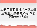 毕节工业职业技术学院毕业生就业大致去向如何(毕节职院就业去向)