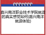 嘉兴南洋职业技术学院就读的真实感觉如何(嘉兴南洋就读体验)