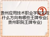 贵州应用技术职业学院主攻什么方向有哪些王牌专业(贵州职院王牌专业)