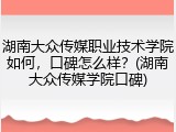 湖南大众传媒职业技术学院如何，口碑怎么样？(湖南大众传媒学院口碑)