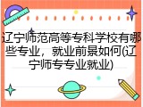 辽宁师范高等专科学校有哪些专业，就业前景如何(辽宁师专专业就业)
