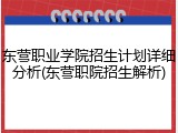 东营职业学院招生计划详细分析(东营职院招生解析)
