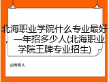 北海职业学院什么专业最好，一年招多少人(北海职业学院王牌专业招生)