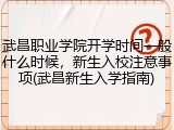 武昌职业学院开学时间一般什么时候，新生入校注意事项(武昌新生入学指南)