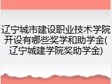 辽宁城市建设职业技术学院开设有哪些奖学和助学金(辽宁城建学院奖助学金)