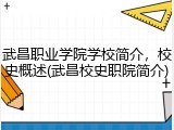 武昌职业学院学校简介，校史概述(武昌校史职院简介)
