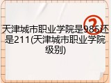 天津城市职业学院是985还是211(天津城市职业学院级别)