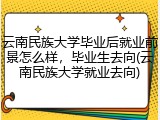云南民族大学毕业后就业前景怎么样，毕业生去向(云南民族大学就业去向)