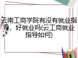 云南工商学院有没有就业指导，好就业吗(云工商就业指导如何)