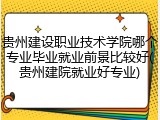 贵州建设职业技术学院哪个专业毕业就业前景比较好(贵州建院就业好专业)