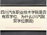 四川汽车职业技术学院是否有双学位，为什么(川汽院双学位原因)