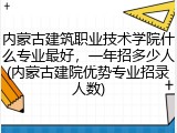 内蒙古建筑职业技术学院什么专业最好，一年招多少人(内蒙古建院优势专业招录人数)