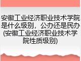 安徽工业经济职业技术学院是什么级别，公办还是民办(安徽工业经济职业技术学院性质级别)