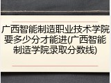广西智能制造职业技术学院要多少分才能进(广西智能制造学院录取分数线)