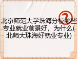 北京师范大学珠海分校哪些专业就业前景好，为什么(北师大珠海好就业专业)