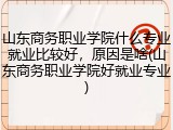 山东商务职业学院什么专业就业比较好，原因是啥(山东商务职业学院好就业专业)