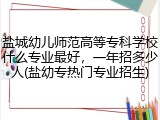 盐城幼儿师范高等专科学校什么专业最好，一年招多少人(盐幼专热门专业招生)