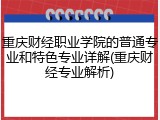 重庆财经职业学院的普通专业和特色专业详解(重庆财经专业解析)