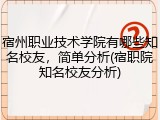 宿州职业技术学院有哪些知名校友，简单分析(宿职院知名校友分析)