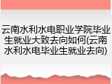 云南水利水电职业学院毕业生就业大致去向如何(云南水利水电毕业生就业去向)