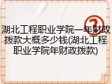 湖北工程职业学院一年财政拨款大概多少钱(湖北工程职业学院年财政拨款)