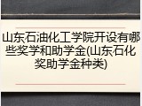 山东石油化工学院开设有哪些奖学和助学金(山东石化奖助学金种类)