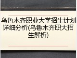 乌鲁木齐职业大学招生计划详细分析(乌鲁木齐职大招生解析)