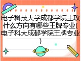 电子科技大学成都学院主攻什么方向有哪些王牌专业(电子科大成都学院王牌专业)