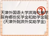 天津外国语大学滨海外事学院有哪些奖学金和助学金呢(天津外院滨外奖助学金)