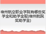宿州航空职业学院有哪些奖学金和助学金呢(宿州航院奖助学金)