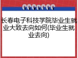 长春电子科技学院毕业生就业大致去向如何(毕业生就业去向)