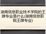 湖南信息职业技术学院的王牌专业是什么(湖南信息职院王牌专业)