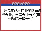 贵州民用航空职业学院有哪些专业，王牌专业分析(贵州航院王牌专业)