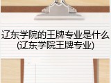 辽东学院的王牌专业是什么(辽东学院王牌专业)