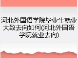 河北外国语学院毕业生就业大致去向如何(河北外国语学院就业去向)