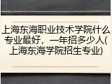 上海东海职业技术学院什么专业最好，一年招多少人(上海东海学院招生专业)