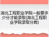湖北工程职业学院一般要多少分才能录取(湖北工程职业学院录取分数)
