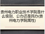 贵州电力职业技术学院是什么级别，公办还是民办(贵州电力学院属性)