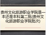 贵州文化旅游职业学院是一本还是本科第二批(贵州文化旅游职业学院批次)