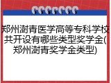 郑州澍青医学高等专科学校共开设有哪些类型奖学金(郑州澍青奖学金类型)