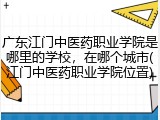 广东江门中医药职业学院是哪里的学校，在哪个城市(江门中医药职业学院位置)
