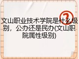 文山职业技术学院是什么级别，公办还是民办(文山职院属性级别)