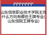 山东信息职业技术学院主攻什么方向有哪些王牌专业(山东信院王牌专业)