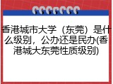 香港城市大学（东莞）是什么级别，公办还是民办(香港城大东莞性质级别)