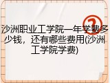 沙洲职业工学院一年学费多少钱，还有哪些费用(沙洲工学院学费)