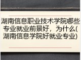 湖南信息职业技术学院哪些专业就业前景好，为什么(湖南信息学院好就业专业)