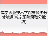 咸宁职业技术学院要多少分才能进(咸宁职院录取分数线)